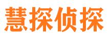 狮子山市私家侦探